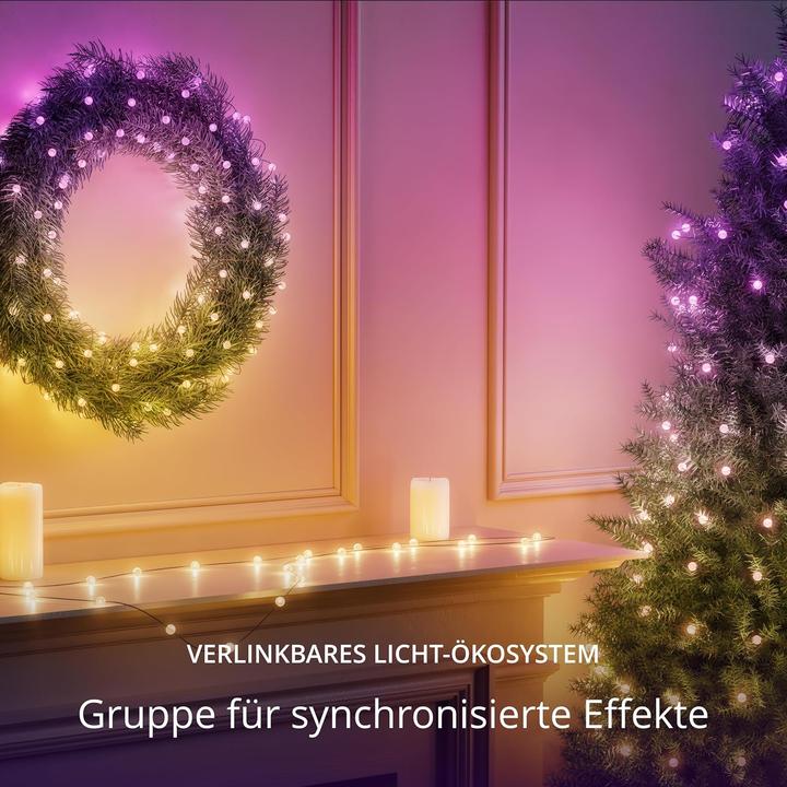 Produktbild Twinkly Candies - 100 Pearl-shaped RGB LEDs Green Wire USB-C (6 m)