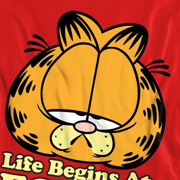 Produktbild Garfield Life Begins At Forty Sweatshirt (L)