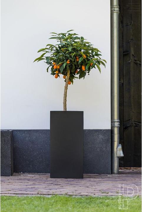 Produktbild Pottery Pots Bouvy L (40 x 40 x 80 cm)