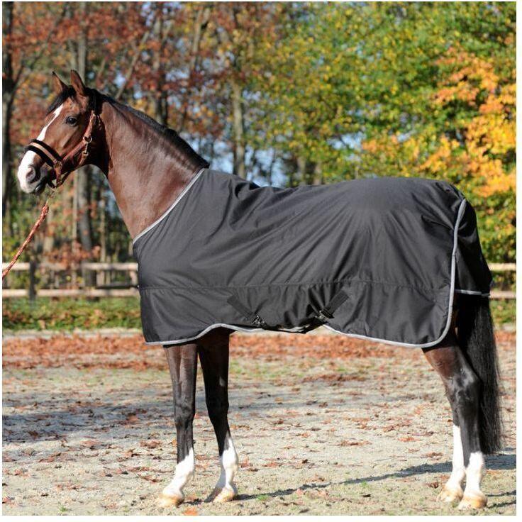 Kavalkade, Pferdedecke, (135 cm)