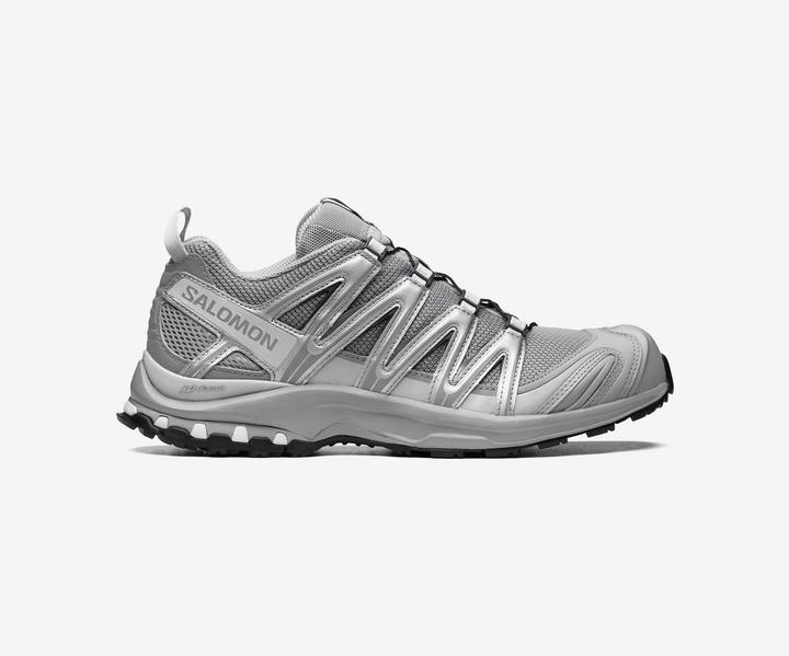 Image du produit Salomon XA PRO 3D Alloy Silver Lunar Rock (38)