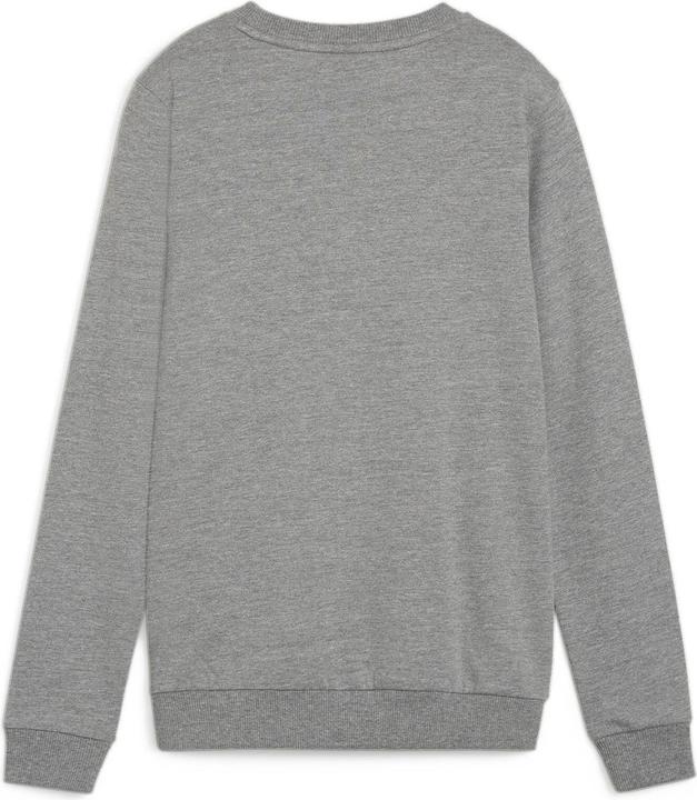 Immagine prodotto Puma teamGOAL Casuals Felpa girocollo Wmn (XS)