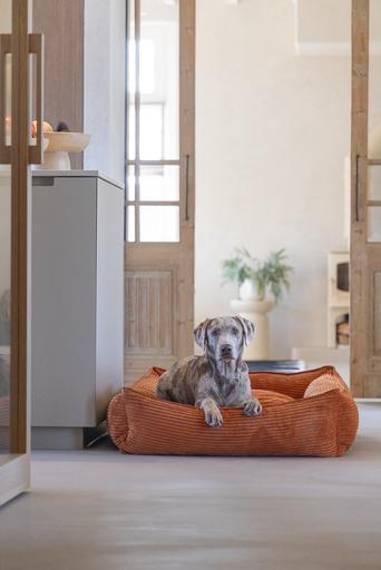 Immagine prodotto Designed by Lotte Liegebett Ribbed (Cane)