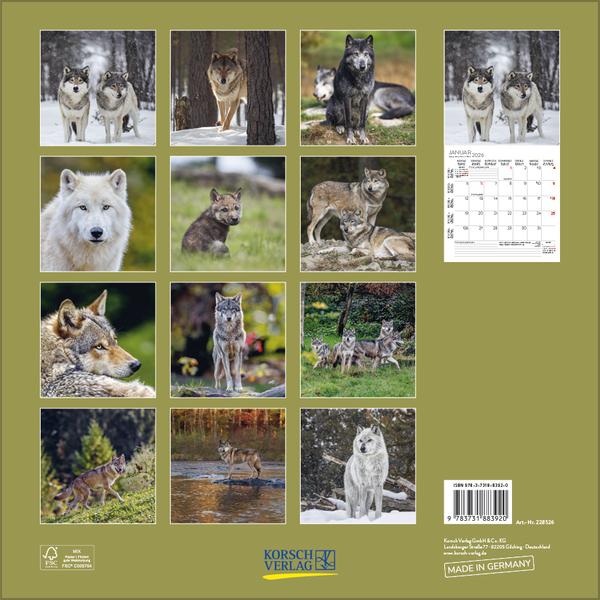 Produktbild Wlfe 2026