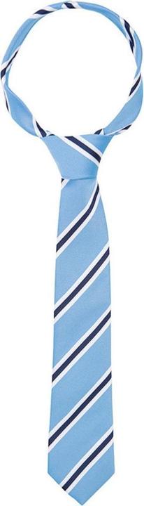 Actual product image Supreme Products Tournament tie