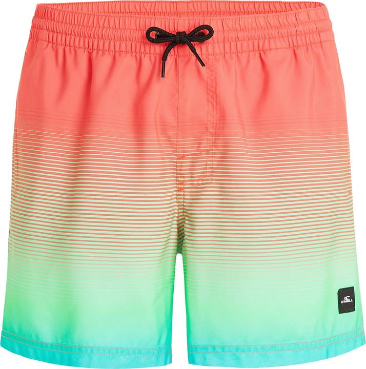 Actual product image O'Neill Jack Cali Gradient 15" Swim Shorts (L)