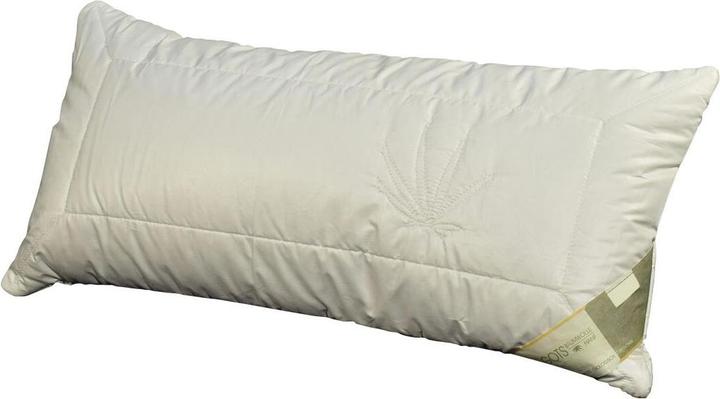 Actual product image Traumschlaf BIO Hemp (40 x 80 cm)