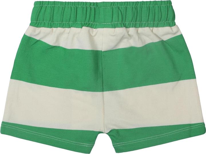 Image du produit The New Shorts (86)
