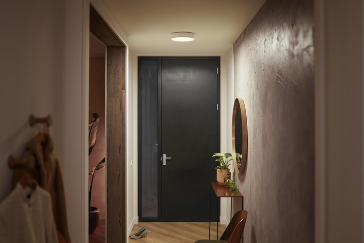 Immagine prodotto Philips Hue White Ambiance Enrave (1200 lm)
