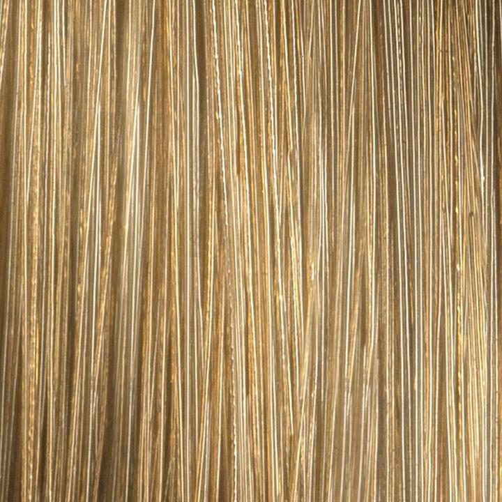 Immagine prodotto L'Oréal Professionnel Paris Inoa INOA Colore per capelli 8.3 Biondo Chiaro Oro - Tonalità di base (8,3 Biondo chiaro oro)