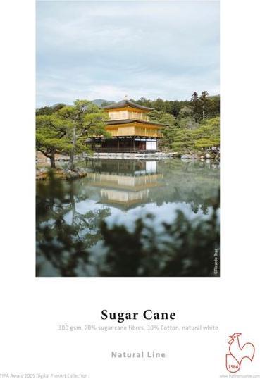 Immagine prodotto Hahnemühle Canna da zucchero A 2 opaco 300 g, 25 fogli, bianco naturale (A2)