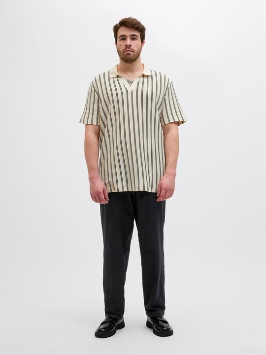 Image du produit Jack & Jones Plus Size Relaxed Fit Relaxed Fit Hosen Relaxed Fit Hosen (44)