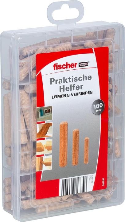 Actual product image Fischer EasyDIY Box wooden dowels (160 pcs.)