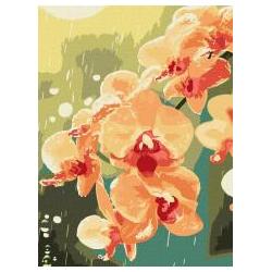 Ideyka Malen nach Zahlen - Orchidee in Tropfenform 30x40 (66128811)