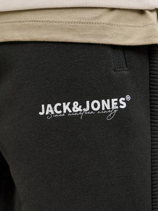 Produktbild Jack & Jones Regular Fit Jogginghose Jogginghose (XS)