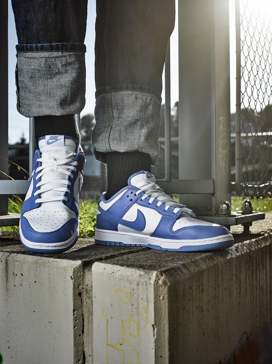 Image du produit Nike Dunk Low (45)