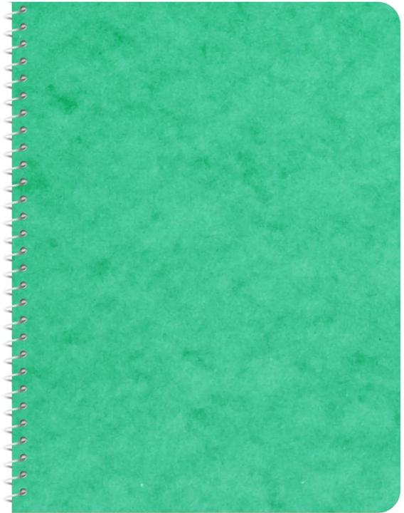 Image du produit Novooo Spiralheft assortiert (Quadrillé, Couverture souple)