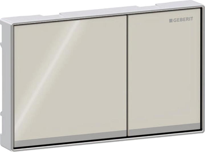 Geberit Flush plate Omega60, for dual flush, flush-mounted