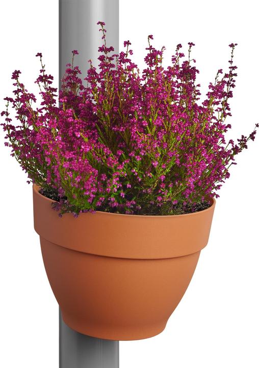 Produktbild Elho Vibia Campana (21.50 x 16 cm)