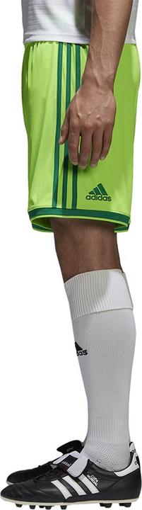 Image du produit adidas Regista 18 Short Hommes (M)