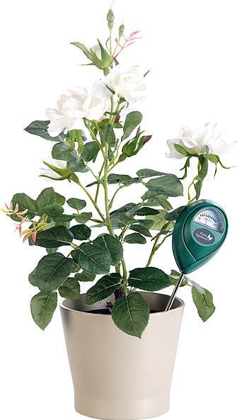 Actual product image Royal Gardineer Soil Moisture Meter
