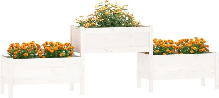 Produktbild vidaXL Pflanzgefäss