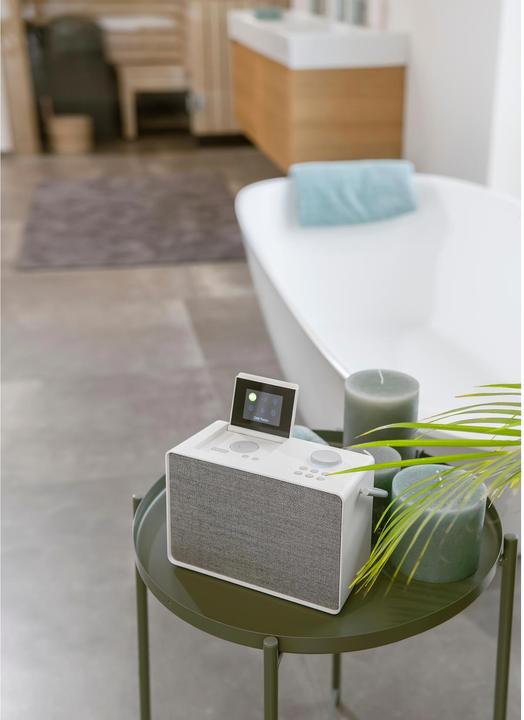 Produktbild Pure Evoke Play (Internetradio, DAB+, FM, Bluetooth, WLAN)