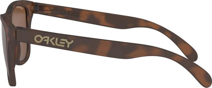 Produktbild Oakley Frogskins Prizm