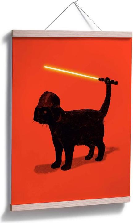 Image du produit Trenddeko Cat Vader (50 x 60 cm)