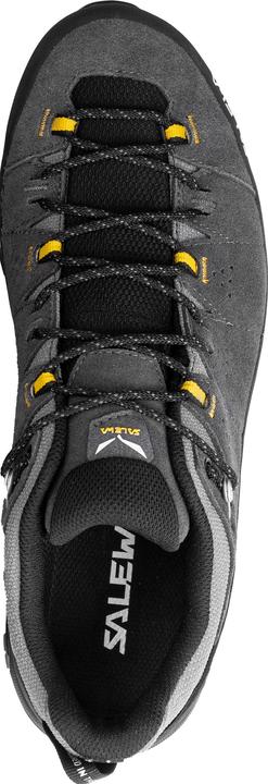 Image du produit Salewa Alp Trainer 2 GTX (43)