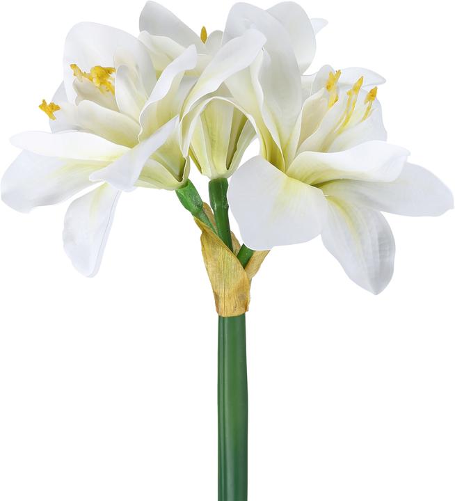 Immagine prodotto EGLO LIVING Molave (63 cm)