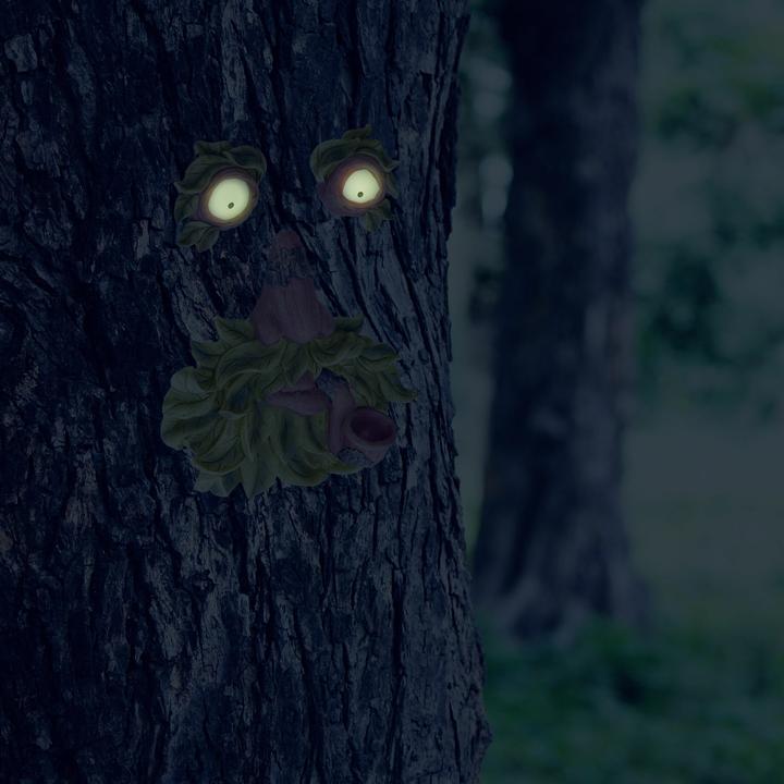 Produktbild Relaxdays Springform Set (18 cm)