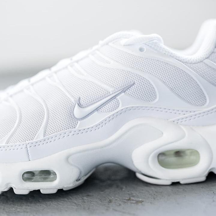Image du produit Nike Air Max Plus - 44656 (40.5)