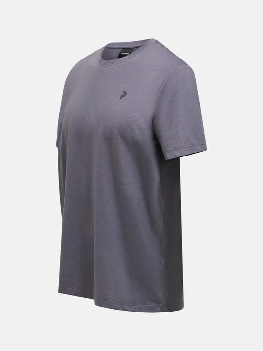 Produktbild Peak Performance Explore Graphic Tee (L)