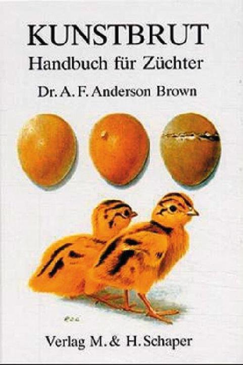 Produktbild Kunstbrut (Deutsch, 2009)