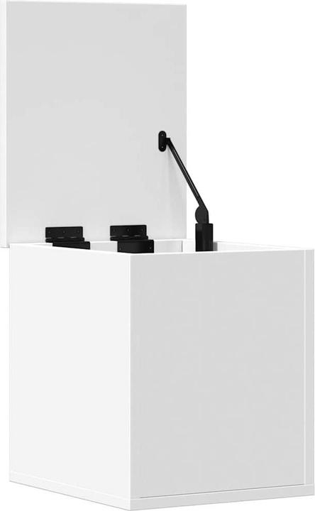 Actual product image vidaXL Truhe (35 cm, 1x)