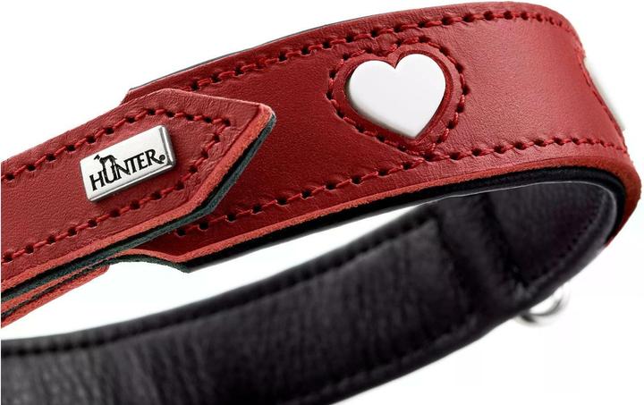 Immagine prodotto Hunter Collare Love per cani 42 (Cane, Passeggiare)