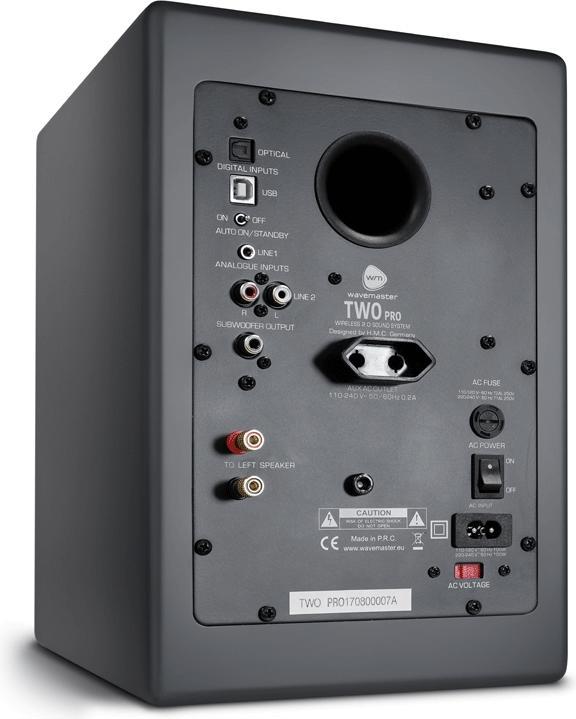 Produktbild Wavemaster Two Pro (1 Paar, 110 W)