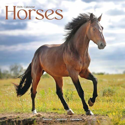 Actual product image Horses Calendar 2026 Square Horses Wall Calendar - 16 Month (English)