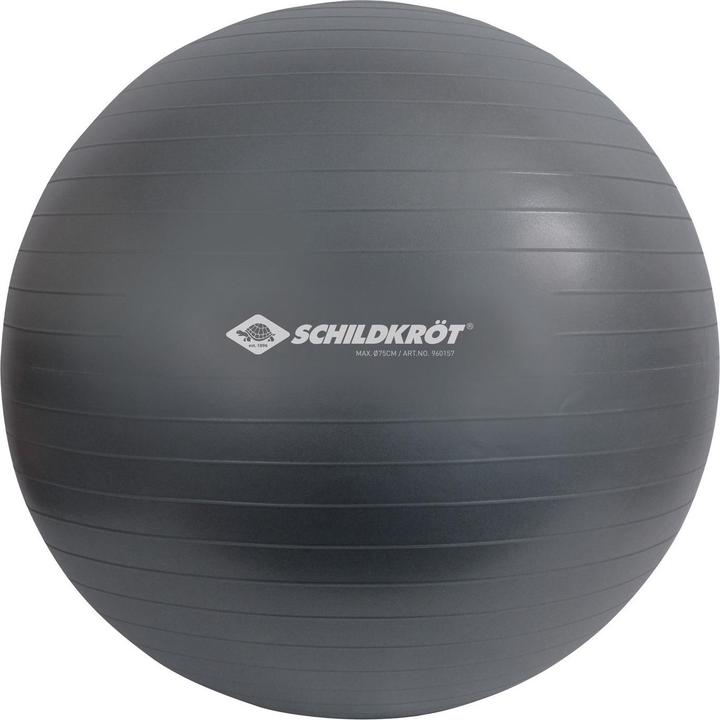Schildkröt Gym ball