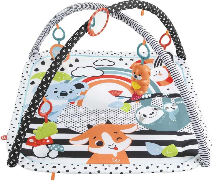 Actual product image Fisher-Price Animal Friends Contrast Play Blanket