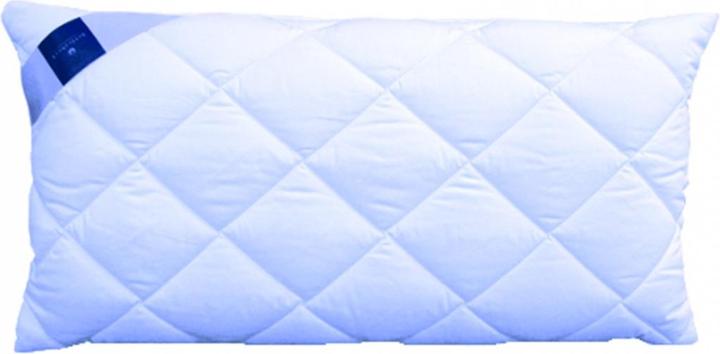 Image du produit Billerbeck Vario (50 x 70 cm)