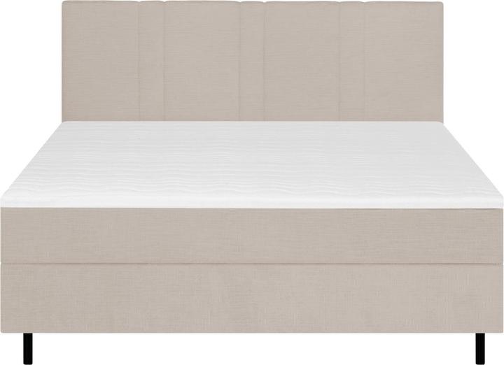 Image du produit Mid.You Paola (120 x 200 cm)