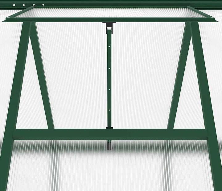 Immagine prodotto vidaXL Gewächshaus