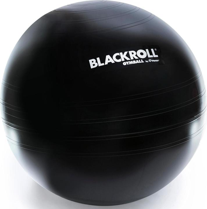 Blackroll Palla da ginnastica (65 cm)