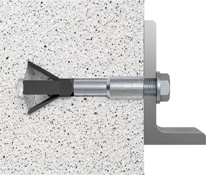 Image du produit Fischer Ancrage pour béton cellulaire FPX M8 I K (2 pcs)