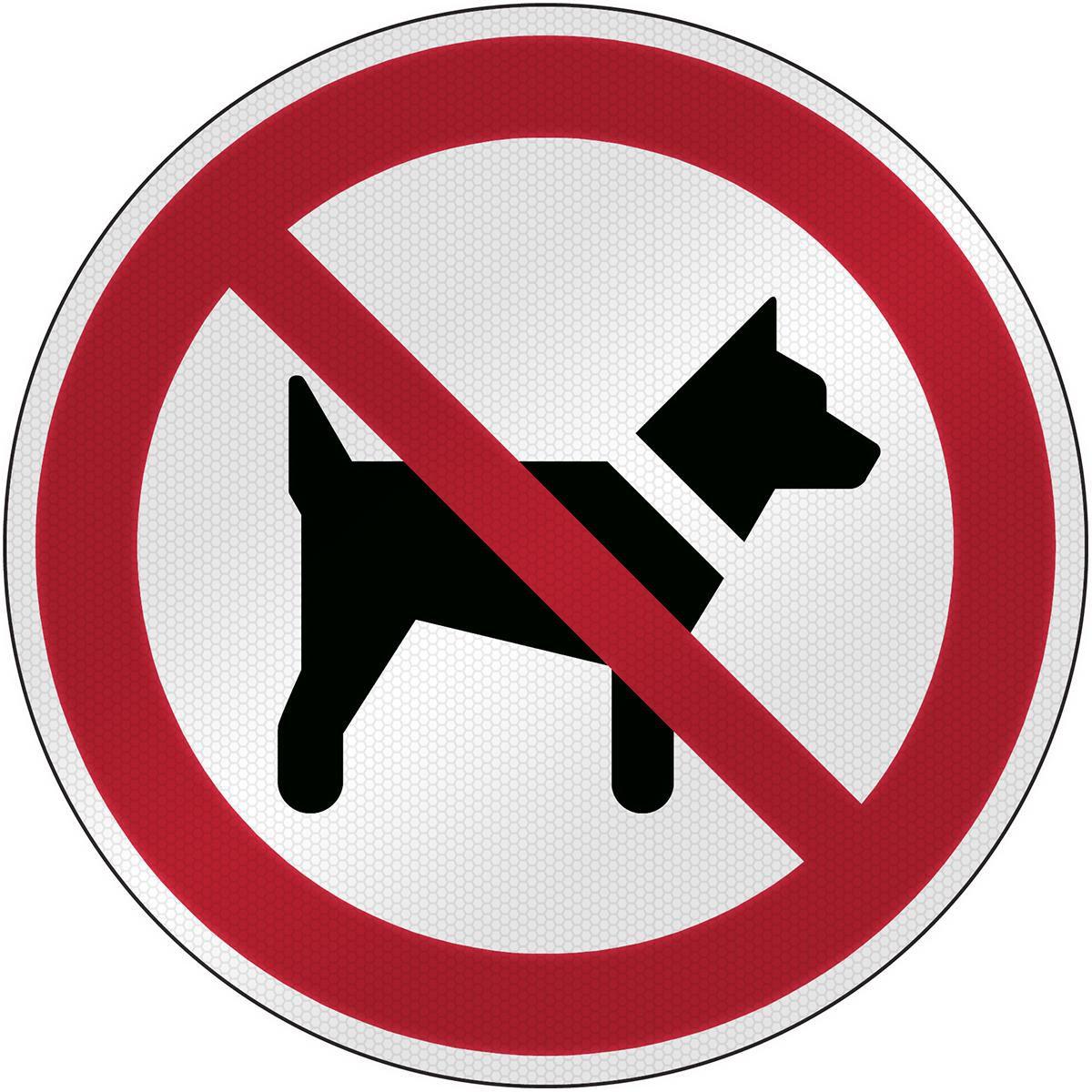 Brady, Etiketten, P/P021/NT/RFL-DIA395-1, ISO Sicherheitsschild - Mitführen von Hunden verboten, Laminierter P
