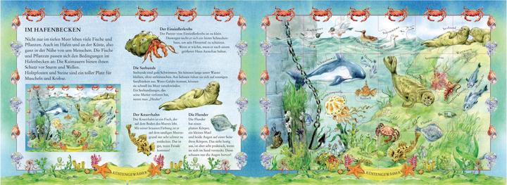 Produktbild Mein Puzzlebuch Meereswelt (24 Teile)