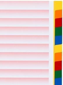 Immagine prodotto Kolma Indice A4 forte vuoto 20 pezzi colorati