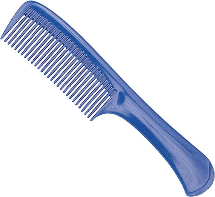 Immagine prodotto Caso Pettine classico 22 cm